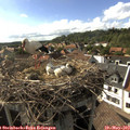 17_10-nest.jpg