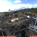 17_25-nest.jpg