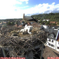 17_30-nest.jpg
