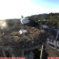 19_40-nest.jpg