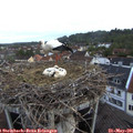 05_45-nest.jpg