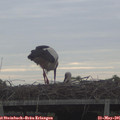 07_25-mast.jpg