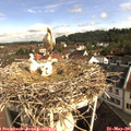 09_05-nest.jpg