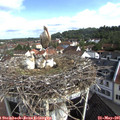 09_15-nest.jpg