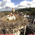 09_20-nest.jpg