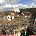 09_45-nest.jpg