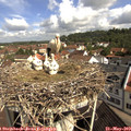 10_20-nest.jpg