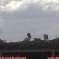 10_40-mast.jpg