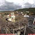 10_45-nest.jpg