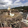 12_10-nest.jpg