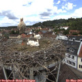 12_30-nest.jpg