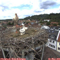 12_40-nest.jpg