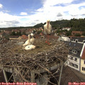 13_30-nest.jpg