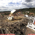 15_25-nest.jpg