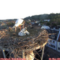 05_55-nest.jpg