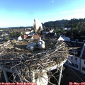 06_50-nest.jpg