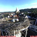 07_00-nest.jpg