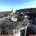07_10-nest.jpg