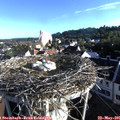07_15-nest.jpg
