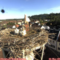 08_10-nest.jpg