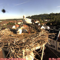 08_25-nest.jpg