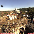 08_40-nest.jpg