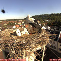 08_45-nest.jpg