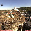 08_55-nest.jpg