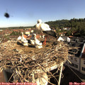 09_00-nest.jpg