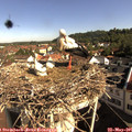 09_05-nest.jpg