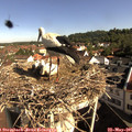 09_10-nest.jpg
