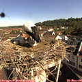 09_15-nest.jpg