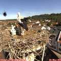 10_05-nest.jpg