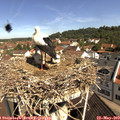 10_30-nest.jpg