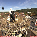10_55-nest.jpg