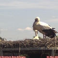 13_05-mast.jpg