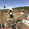 13_05-nest.jpg