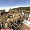 14_20-nest.jpg