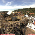 15_35-nest.jpg