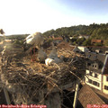 18_40-nest.jpg