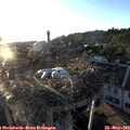 20_00-nest.jpg