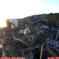 20_35-nest.jpg