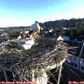 06_35-nest.jpg