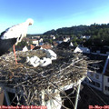 07_10-nest.jpg