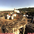 08_05-nest.jpg
