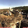 08_10-nest.jpg
