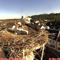 08_15-nest.jpg