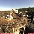 08_25-nest.jpg