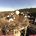 08_30-nest.jpg