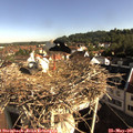 08_35-nest.jpg